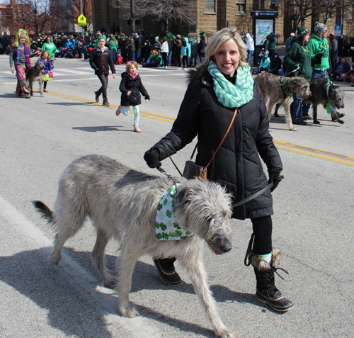 Irish Wolfhounds